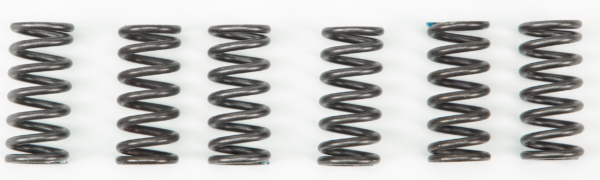 CLUTCH SPRINGS