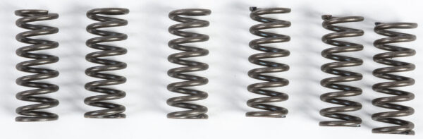 CLUTCH SPRINGS