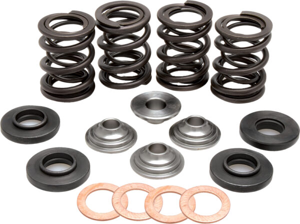 RACING VALVE SPRING KIT