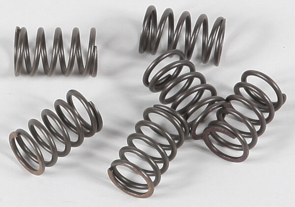 CLUTCH SPRINGS