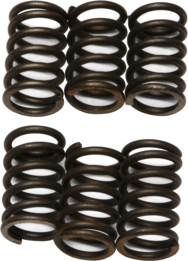 CLUTCH SPRINGS